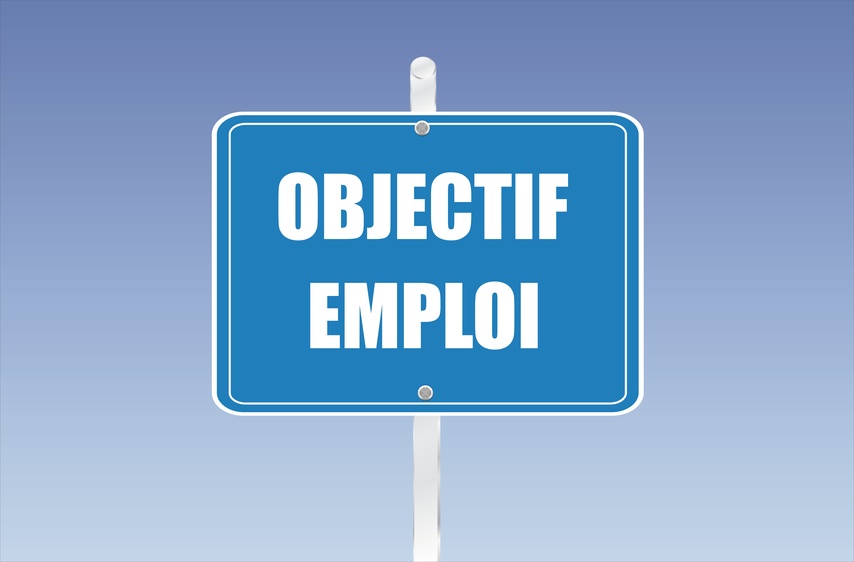 objectif emploi